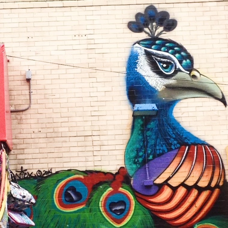 11354943_10152824870747587_558211633_n