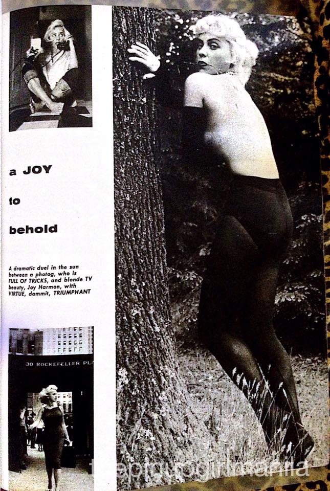 11910898_10152940947327587_156229876_n